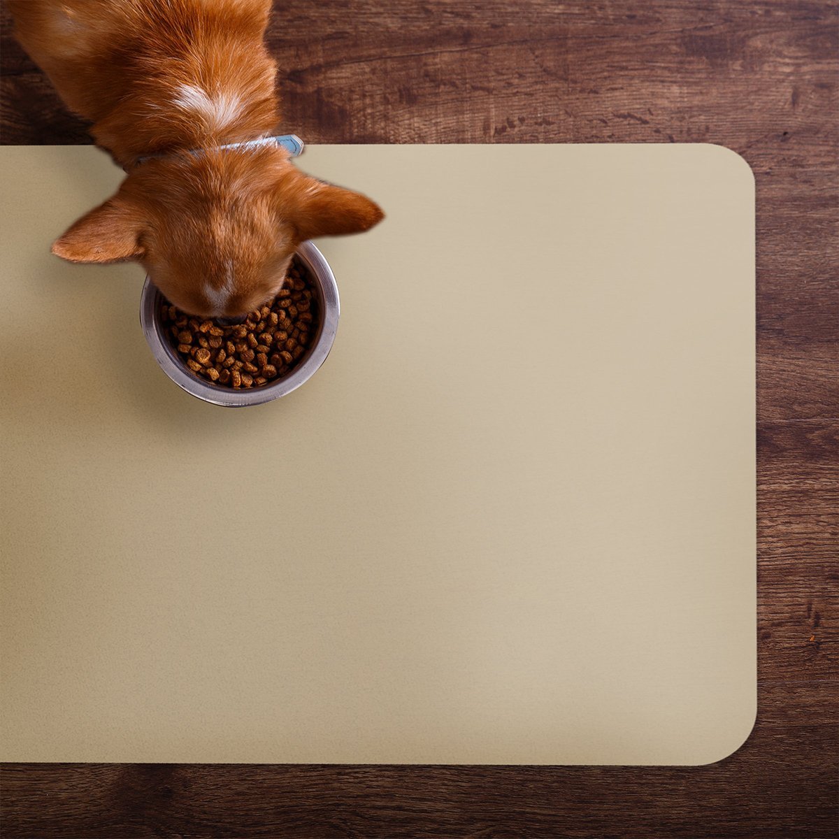 Chair Mat for Hard Floors | Protection Mat | Available in Many Colours